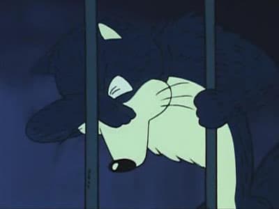 Mr. Shadow / Potwór Człowiek-Mucha