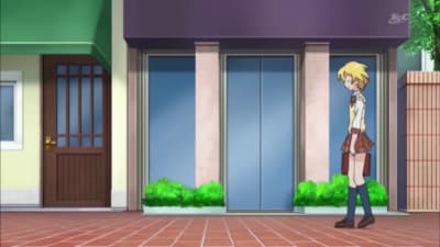 Nekochi's Trial
