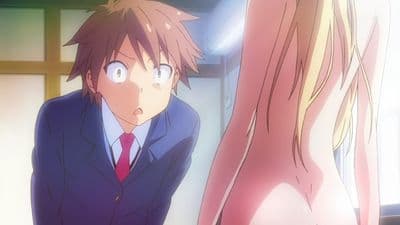 Kot. Biały. Mashiro