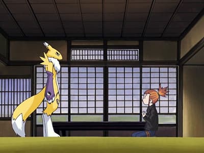 Renamon digiewoluuje!