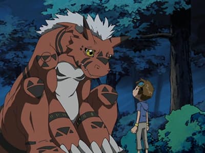 Panika Growlmona