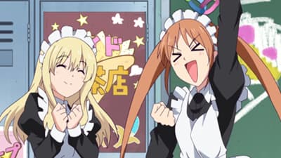 Festiwal! Aho Girl!