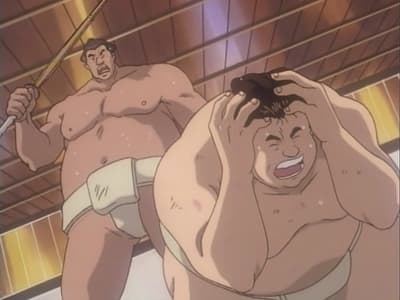 Dąż do Wielkiego Mistrzostwa: Dziennik walk sumo Toramaru!