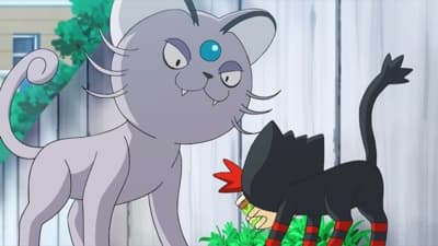 Dlatego Litten jest urwisem!