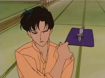 Chroń Mamoru: Zazdrość Ninja Usagi