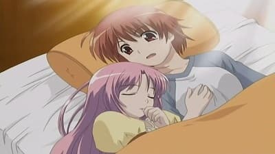 Serce Hazumu, Serce Yasuny