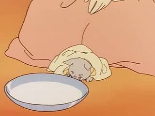 Milky Anne została odnaleziona