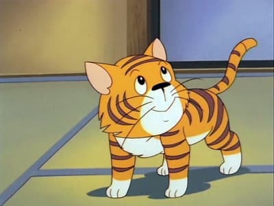 Bezdomny kot Tora-chan