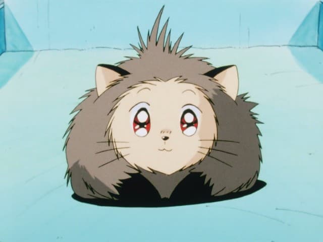Miłość Meimi?!