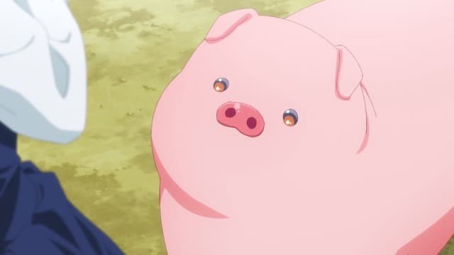 Otaku lubią być traktowani jak świnie