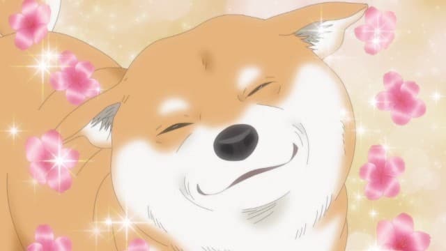 Rysownik komiksów i shiba inu