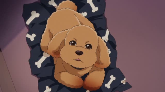 Jesteśmy rodziną