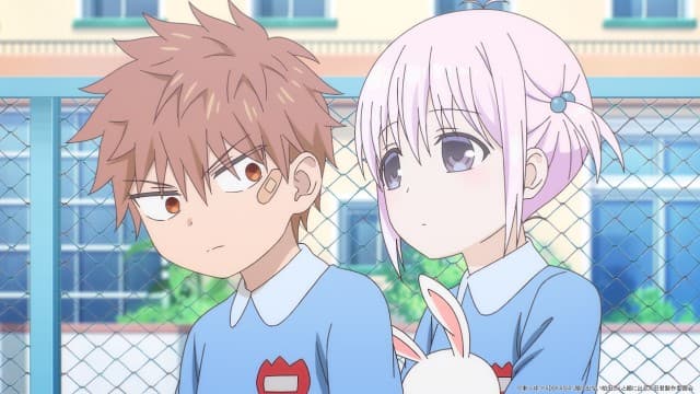 Zmagania Tadokoro-kuna / Śnieżna bitwa Kashiwady-san i Ooty-kuna / Wspomnienia Kashiwady-san