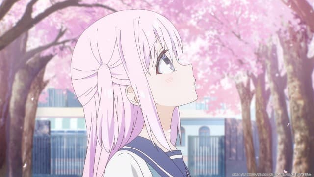 Dom Oota-kuna / Kashiwada-san i kwiaty wiśni / Kashiwada-san i zmiana Oota-kuna