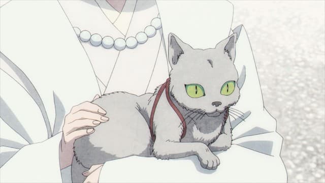 Maogui