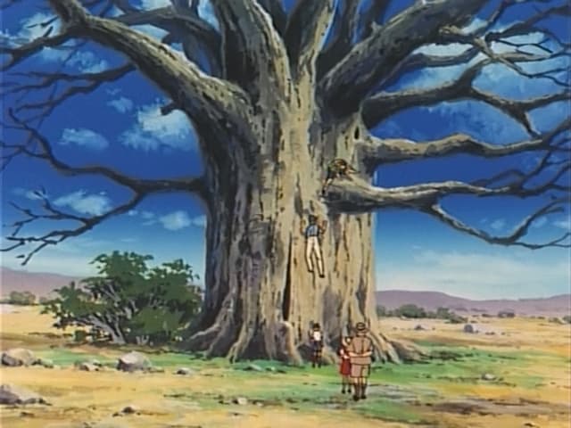 Tajemniczy baobab