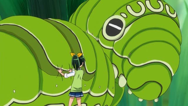 Precure się skurczyły!?
