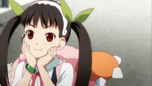 Suruga Monkey, część 1