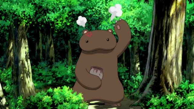 Szukaj, Kuma-kuma!
