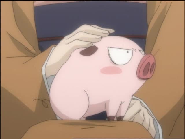 Suzu