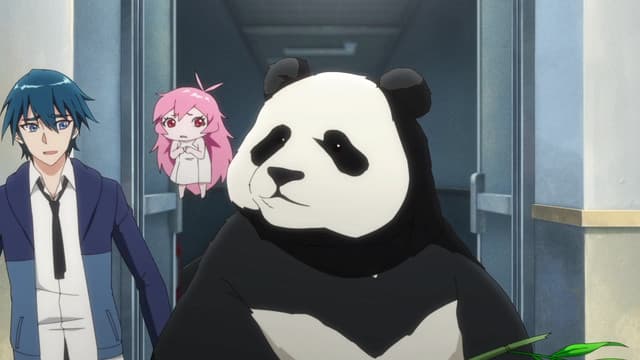 Miau