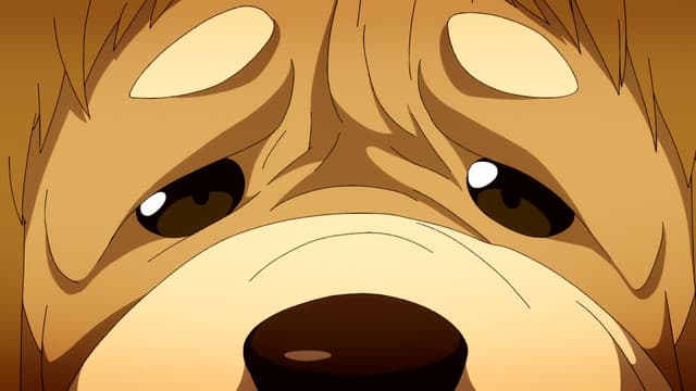 O-re-zgon?!