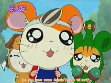 Jestem Hamtaro
