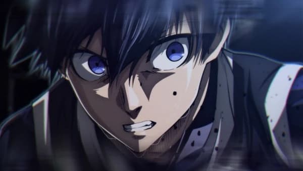 Assassin i  Ninja