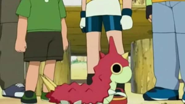 Wurmple na cały dzień
