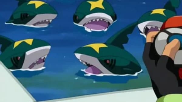 Atak Sharpedo!
