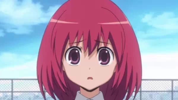 Ryuuji i Taiga